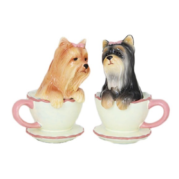 AUCTION PRICE👩🏻‍⚖️ YORKIE PUPPIES IN TEA CUP SP SHAKERS - Picture 1 of 1